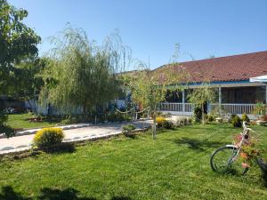 a house with a bike parked in the yard at Casa Sheila in Mahmudia