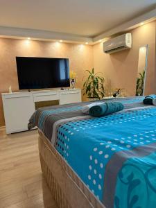 a bedroom with a large bed and a flat screen tv at Silver Night in Belgrade