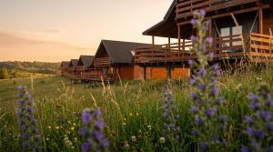 a house in a field with flowers in the foreground at Jotwingia - Domki z Widokiem in Stare Juchy +6 photos