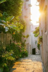 an alley with plants and flowers on a street at Apartments Milion in Korčula