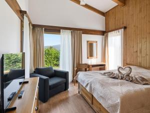 a bedroom with a bed and a chair and a television at Pirin Golf Villa in Bansko