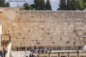 a group of people walking in front of a wall at City of David - Boutique Stay by the Western Wall in Jerusalem