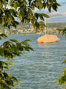 a boat in the water with a tree at Zurich near the lake single room in historical house shared Bathroom in Kilchberg