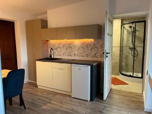 a kitchen with a sink and a shower at Apartamenty Harnaś in Rytro