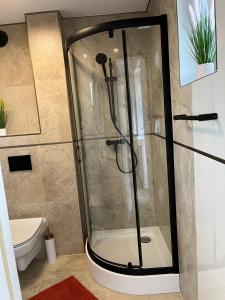 a shower with a glass door in a bathroom at Apartamenty Harnaś in Rytro +45 photos