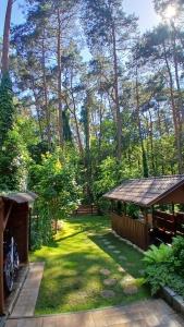 a yard with a gazebo and trees at U Hanki in Turawa +5 photos
