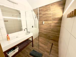 a bathroom with a sink and a shower at Apartmány u komína in Terezín