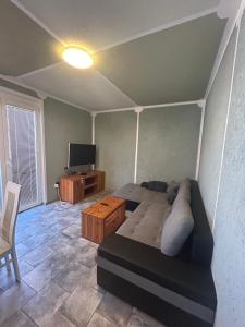 a living room with a couch and a television at Guesthouse Ema in Bohinj
