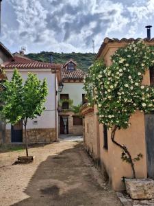 a tree with white flowers on the side of a building at El Rincón de la Plazuela in Romancos