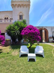 two white benches and a tree with purple flowers in front of a building at villa amodeo in Paceco