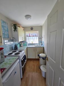 a small kitchen with a stove and a sink at Seabiscuit in Scratby