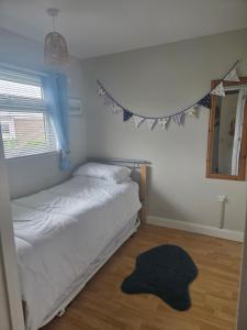 a bedroom with a bed and a mirror and a rug at Seabiscuit in Scratby +5 photos