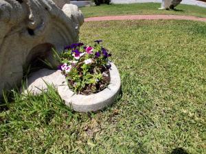 a stone planter with flowers in the grass at villa amodeo in Paceco
