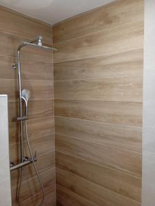a bathroom with a shower with wooden walls at Themonia in Apollonia +59 photos