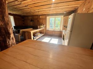 a kitchen with a counter and a refrigerator at La Demeure des Forges in Grandfontaine