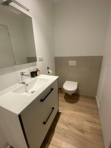 a bathroom with a white sink and a toilet at Appartement avec jacuzzi et piscine sur les remparts in Langres