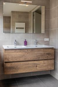 a bathroom with a sink and a mirror at Luxe villa aan golfbaan en bosrand in Appelscha in Appelscha
