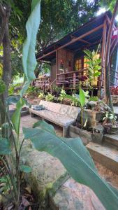 a small house in a garden with a building at Casa Kwalama in Santa Marta