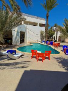 a swimming pool with red chairs and palm trees at Alaska Camp & Hotel in Dahab