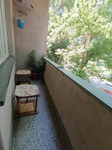 Balcony o terrace sa Apartman Vuk
