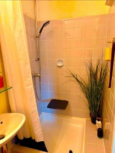 a bathroom with a shower and a toilet and a sink at Mini Apartment in Öhningen