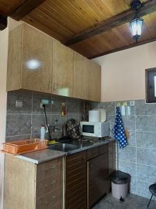 a kitchen with a sink and a microwave at Vikendica Jagoš in Mitrovac +6 photos