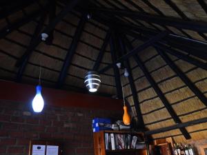 two lights hanging from the ceiling of a room at Oluzizi Guesthouse in Windhoek