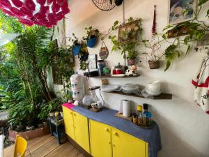a room with a yellow cabinet with plants on the wall at Hospedaria de Maria in Salvador +14 photos