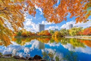 a view of a lake in a park with fall foliage at メゾンドアトール in Sapporo