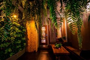 una stanza con panche e piante alle pareti di Pak Ping The Cozy Living in Chiangmai a Chiang Mai