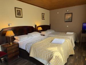 a bedroom with two beds and two lamps and a tv at Charde Guest House in Birmingham