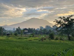 a house in a field with a mountain in the background at Pondok Indah Homestay in Sidemen