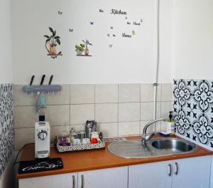 a kitchen counter with a sink and a mixer at Téesz Vendégház in Zalaháshágy