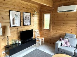 a living room with a couch and a television in a log cabin at Lumi-Ilves Iso-Syöte in Syöte