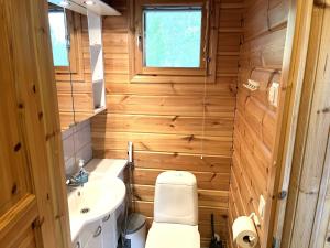 a small bathroom with a toilet and a sink at Lumi-Ilves Iso-Syöte in Syöte +16 photos
