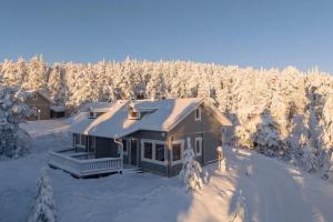 an aerial view of a house in the snow at Lumi-Ilves Iso-Syöte in Syöte