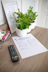 a remote control sitting next to two potted plants on a table at Dom Gościnny Wiki in Rewal