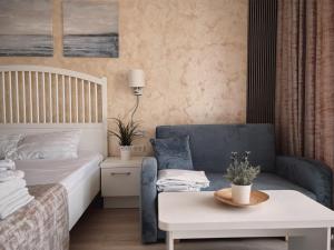 a bedroom with a bed and a couch and a table at Studio Privat Reea Olimp in Olimp +19 photos