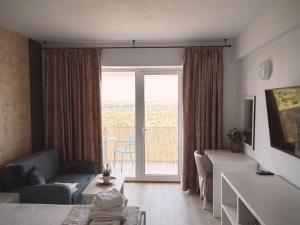 a living room with a large window and a couch at Studio Privat Reea Olimp in Olimp