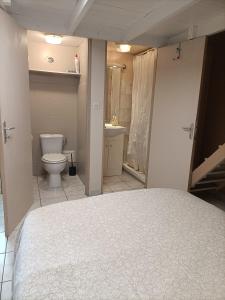 a bathroom with a bed and a toilet and a sink at Chambre cosy in Saint-Paul
