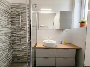 a bathroom with a sink and a shower at Apartmány Mary in Litoměřice