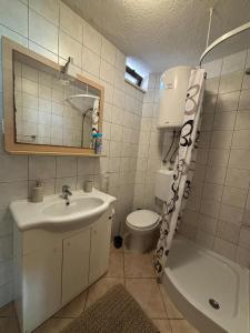 a bathroom with a sink and a toilet and a mirror at Apartments Jela in Splitska +39 photos