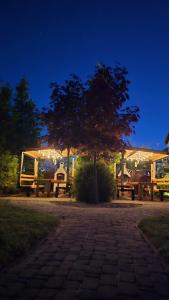a group of picnic tables in a park at night at Posejdon in Ustronie Morskie