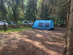 a blue tent in the middle of a forest at Familienzelt EINFACH CAMPING direkt am Strand in Dranske
