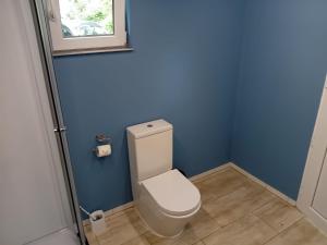 a bathroom with a toilet with blue walls and a window at Familienzelt EINFACH CAMPING direkt am Strand in Dranske