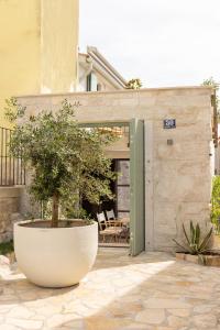 a plant in a large pot in front of a building at Stone House Orsera II in Vrsar