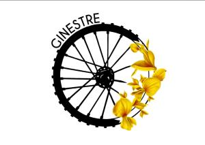 a bicycle wheel with yellow flowers on a white background at Agriturismo Macchia di Riso in Nova Siri Marina