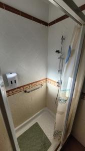 a shower in a bathroom with a glass door at Casa Gustavo Apartman in La Guancha +41 photos