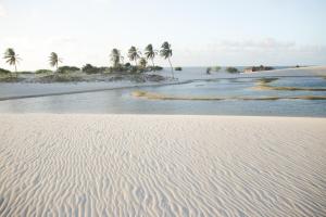 a sandy beach with palm trees and the ocean at Vila hangloose Jericoacoara in Acaraú