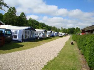 a row of tents and cars parked next to a gravel road at Morsø Camping in Nykøbing Mors